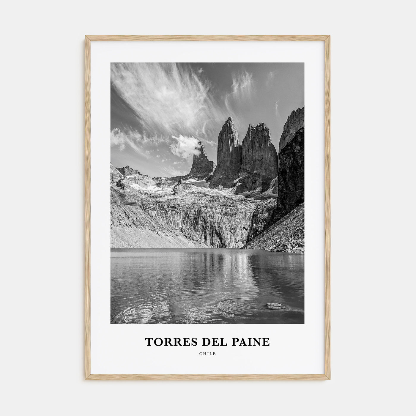 Torres del Paine Portrait B&W Poster