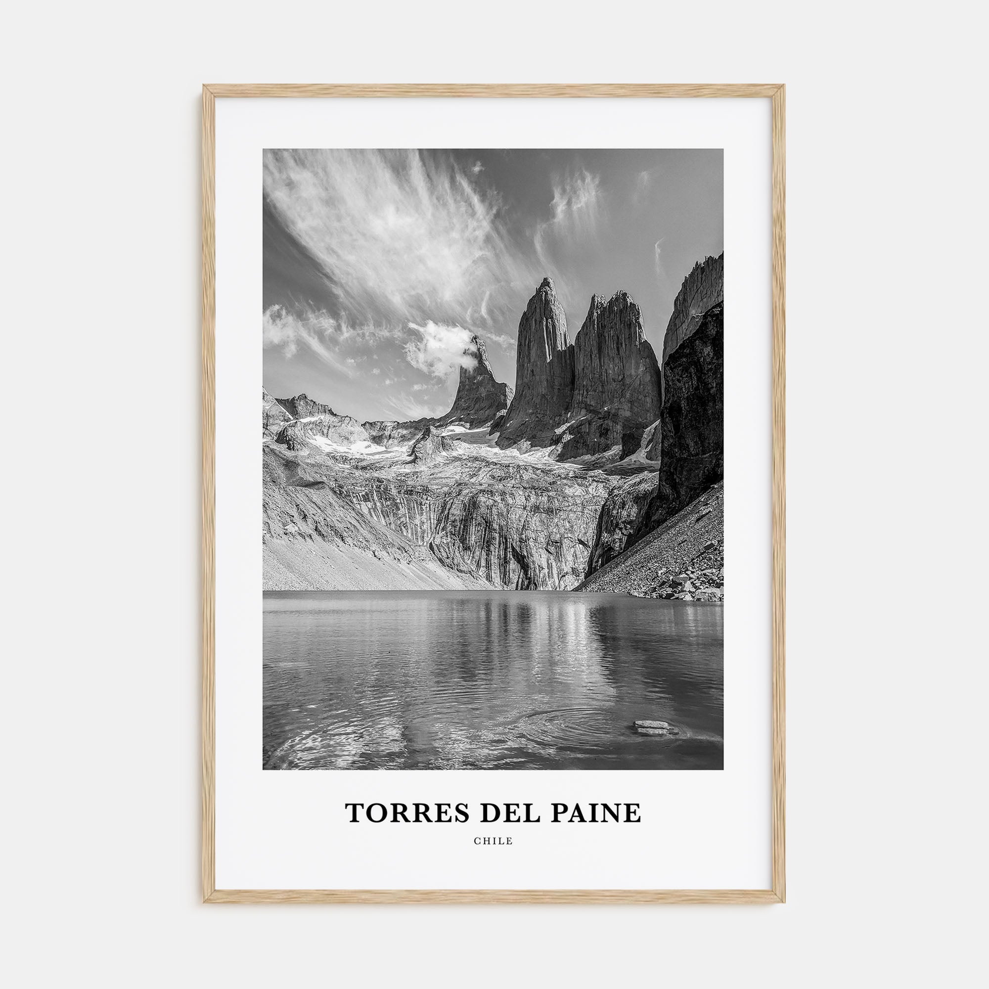 Torres del Paine Portrait B&W Poster