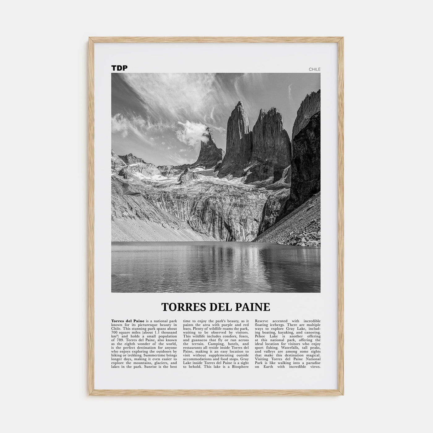 Torres del Paine Travel B&W Poster