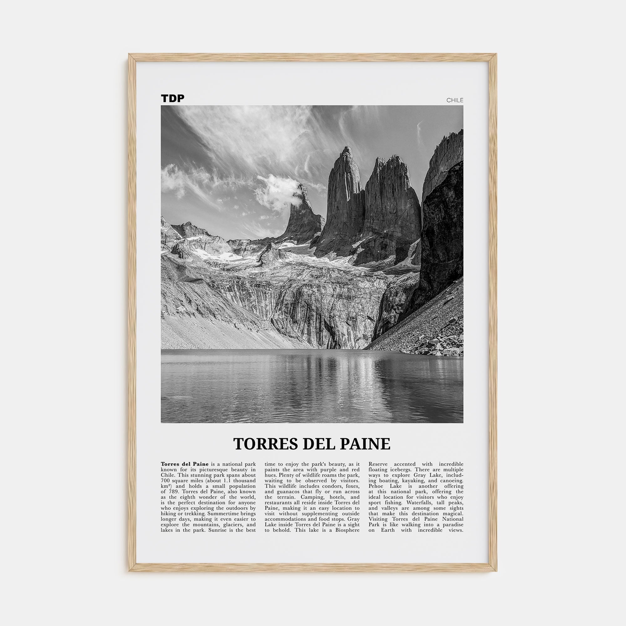 Torres del Paine Travel B&W Poster
