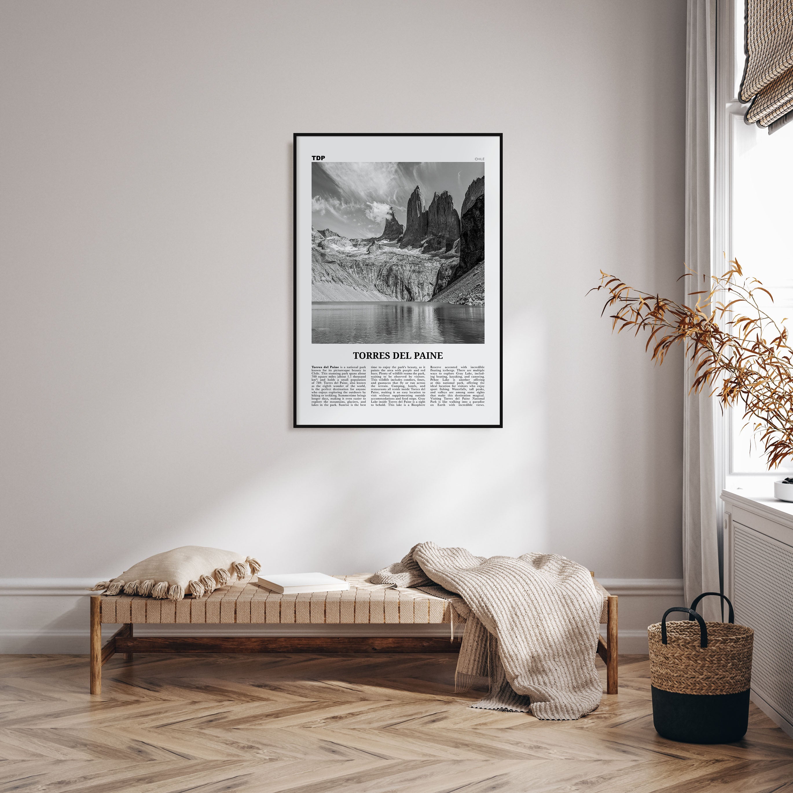 Torres del Paine Travel B&W Poster