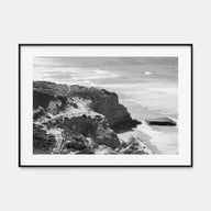 Torrey Pines Landscape B&W Poster