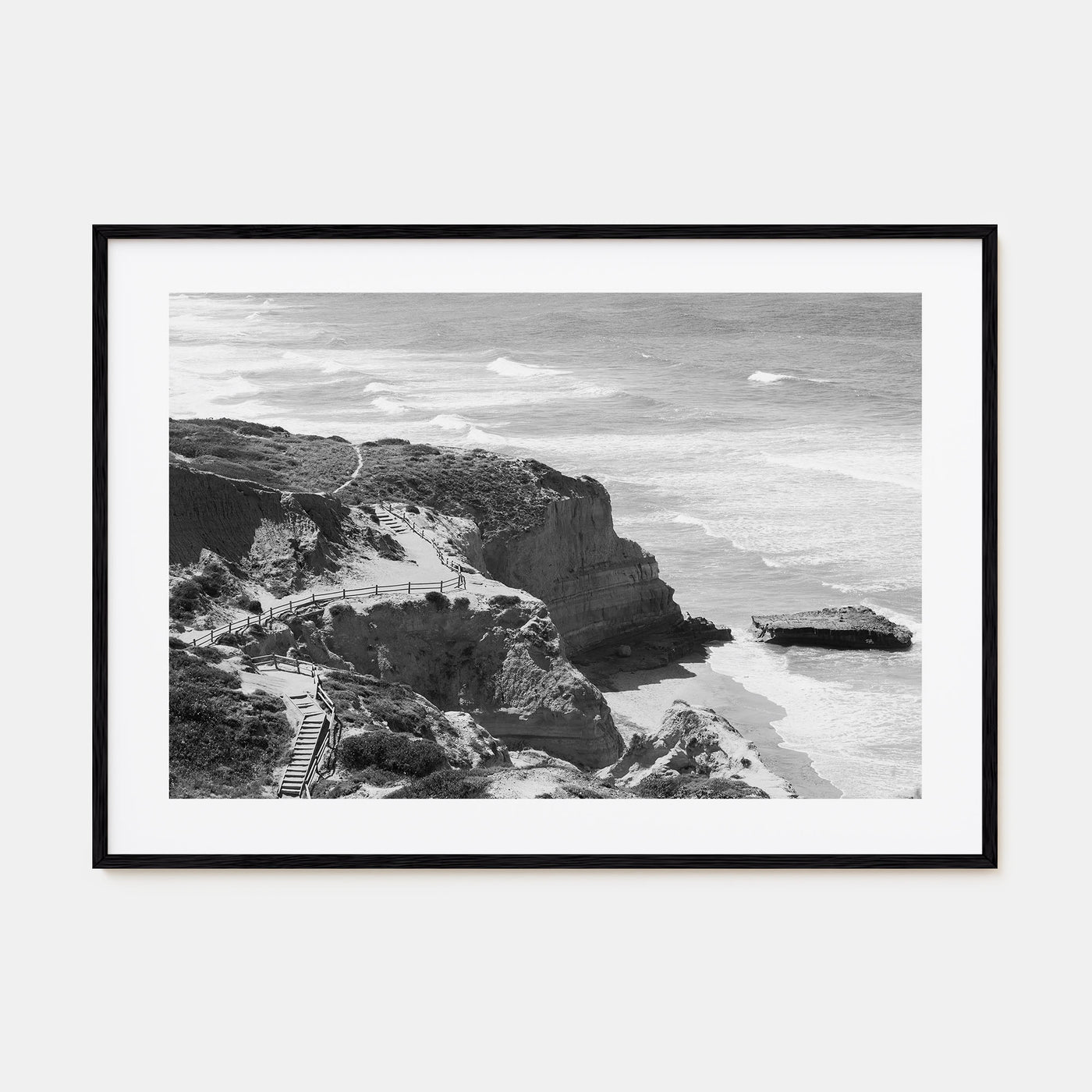 Torrey Pines Landscape B&W Poster