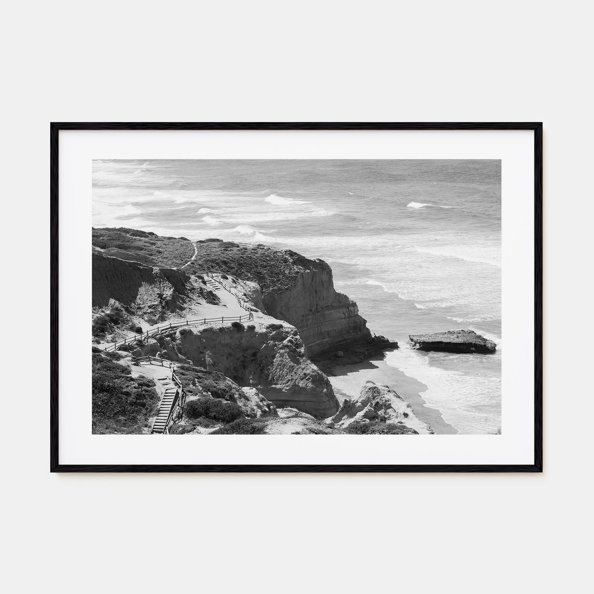Torrey Pines Landscape B&W Poster