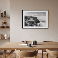 Torrey Pines Landscape B&W Poster