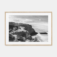Torrey Pines Landscape B&W Poster