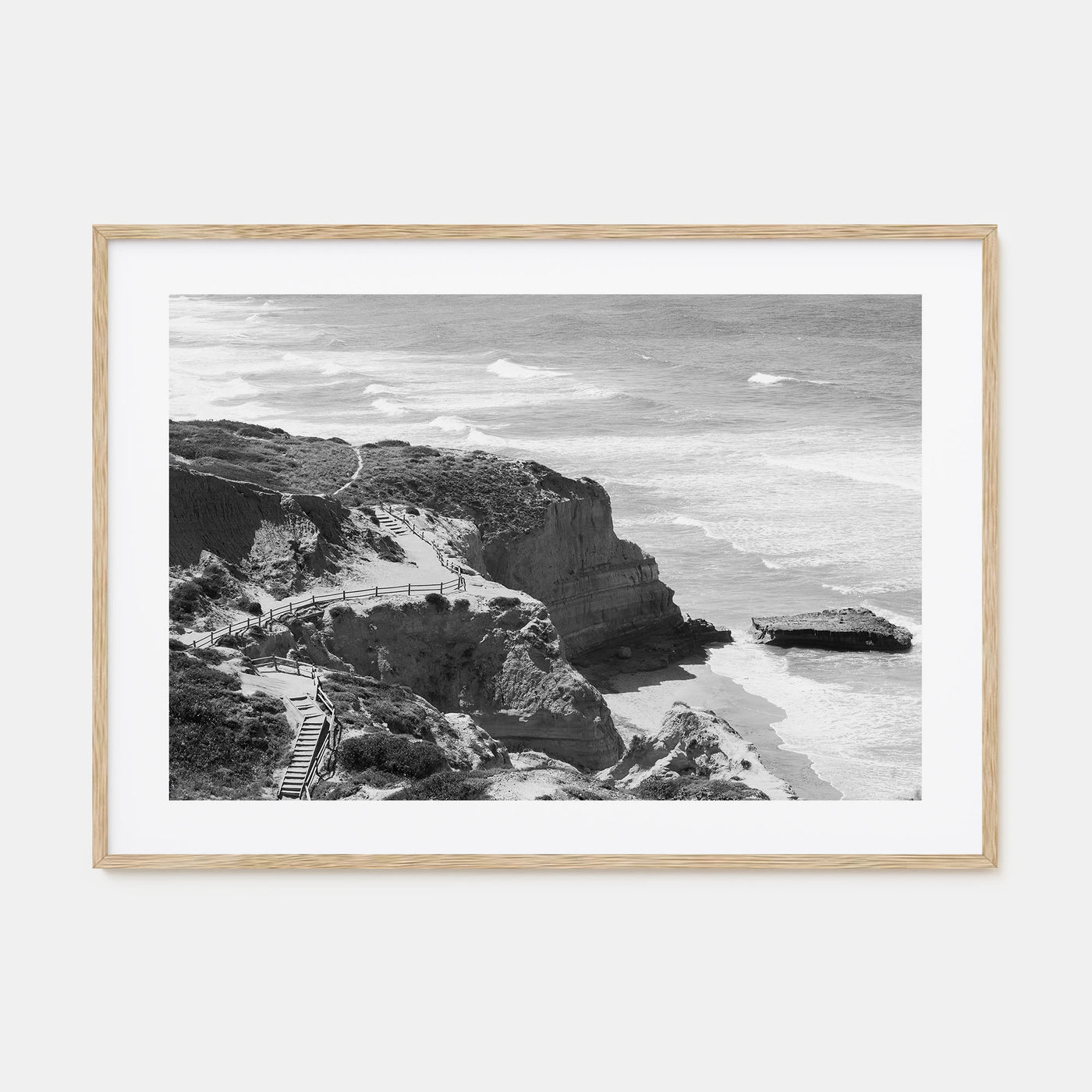 Torrey Pines Landscape B&W Poster
