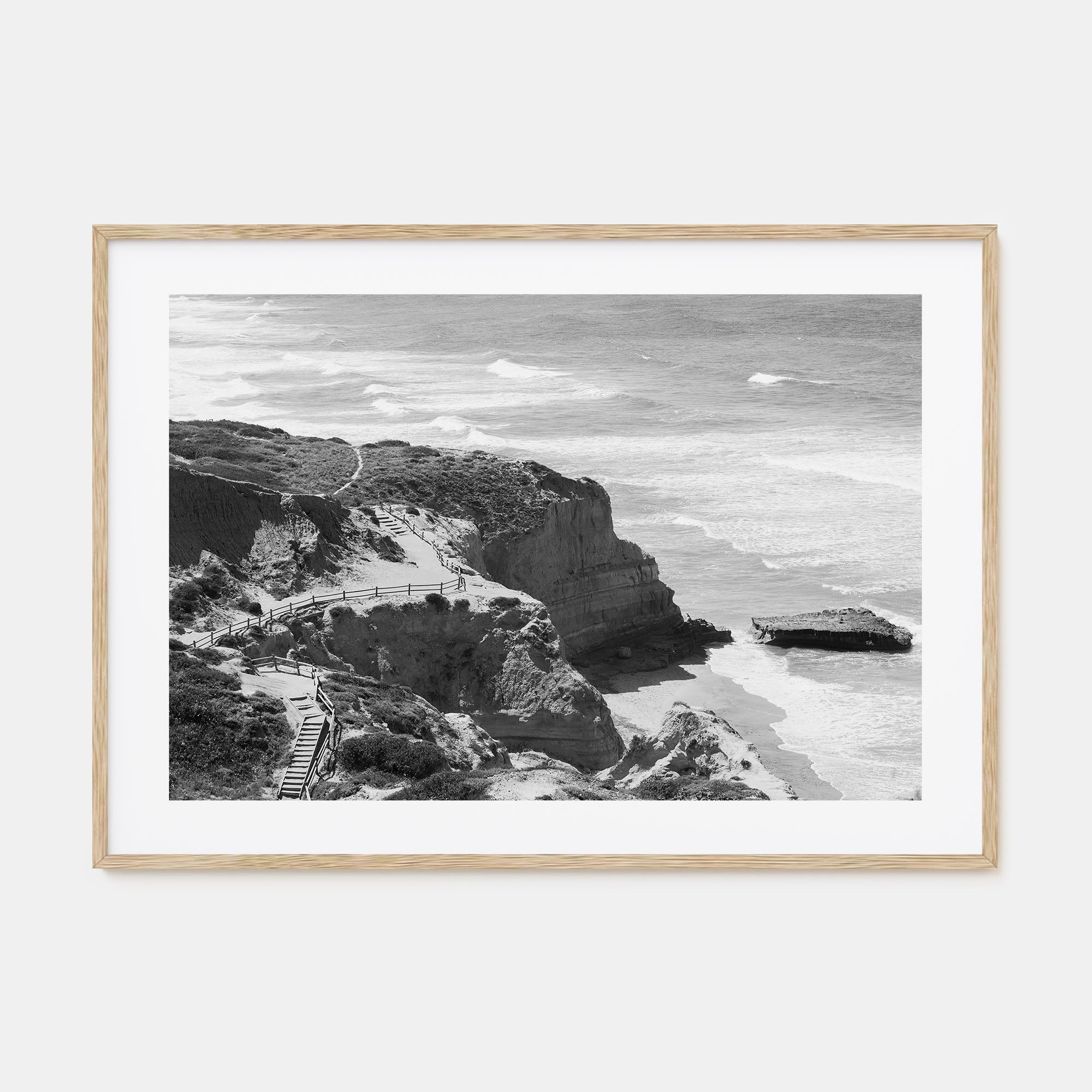 Torrey Pines Landscape B&W Poster