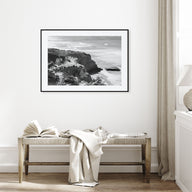 Torrey Pines Landscape B&W Poster