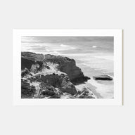 Torrey Pines Landscape B&W Poster