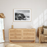 Torrey Pines Landscape B&W Poster
