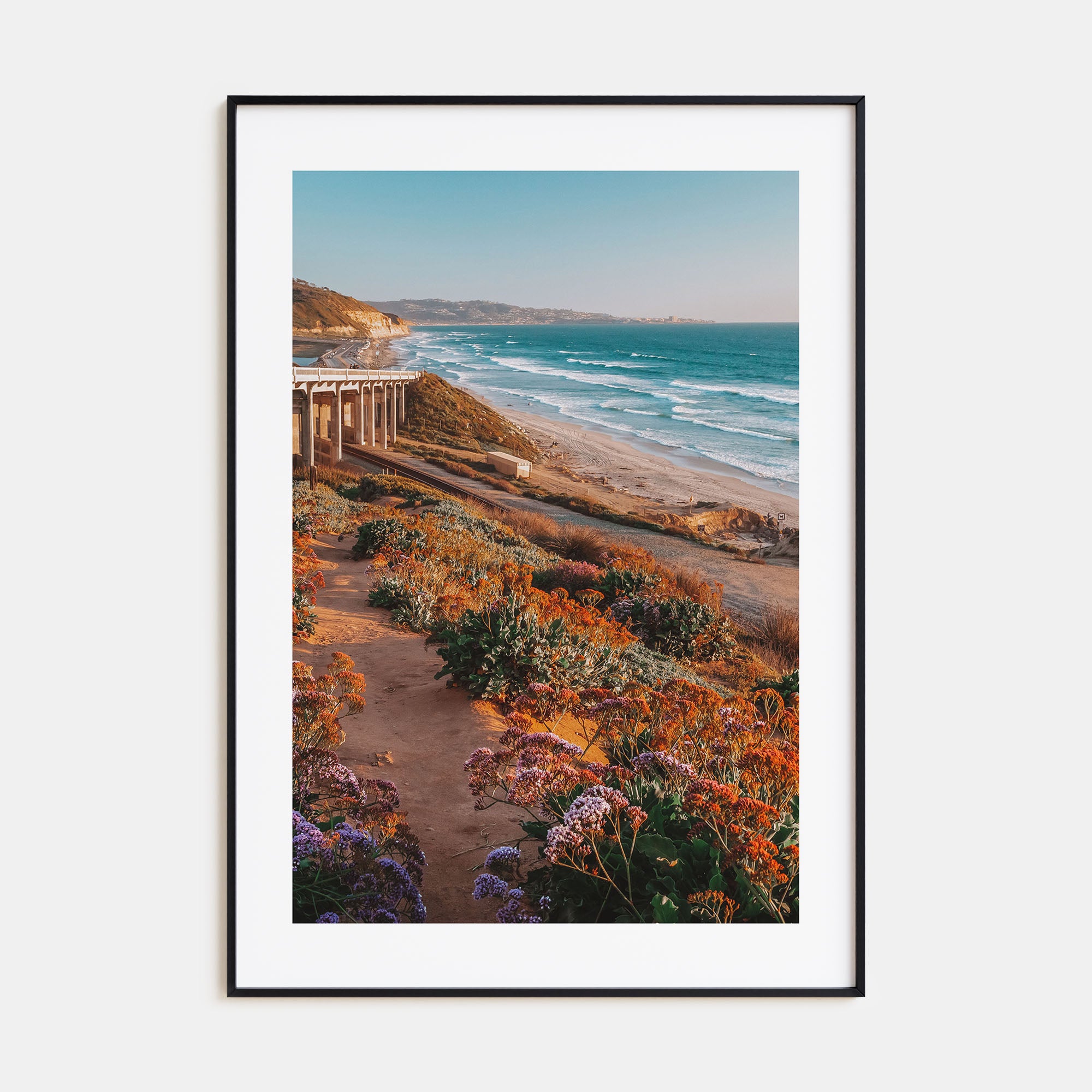 Torrey Pines Photo Color No 3 Poster