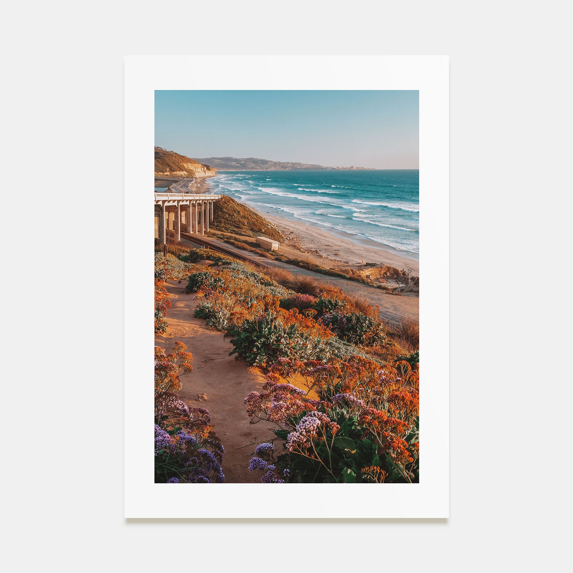 Torrey Pines Photo Color No 3 Poster