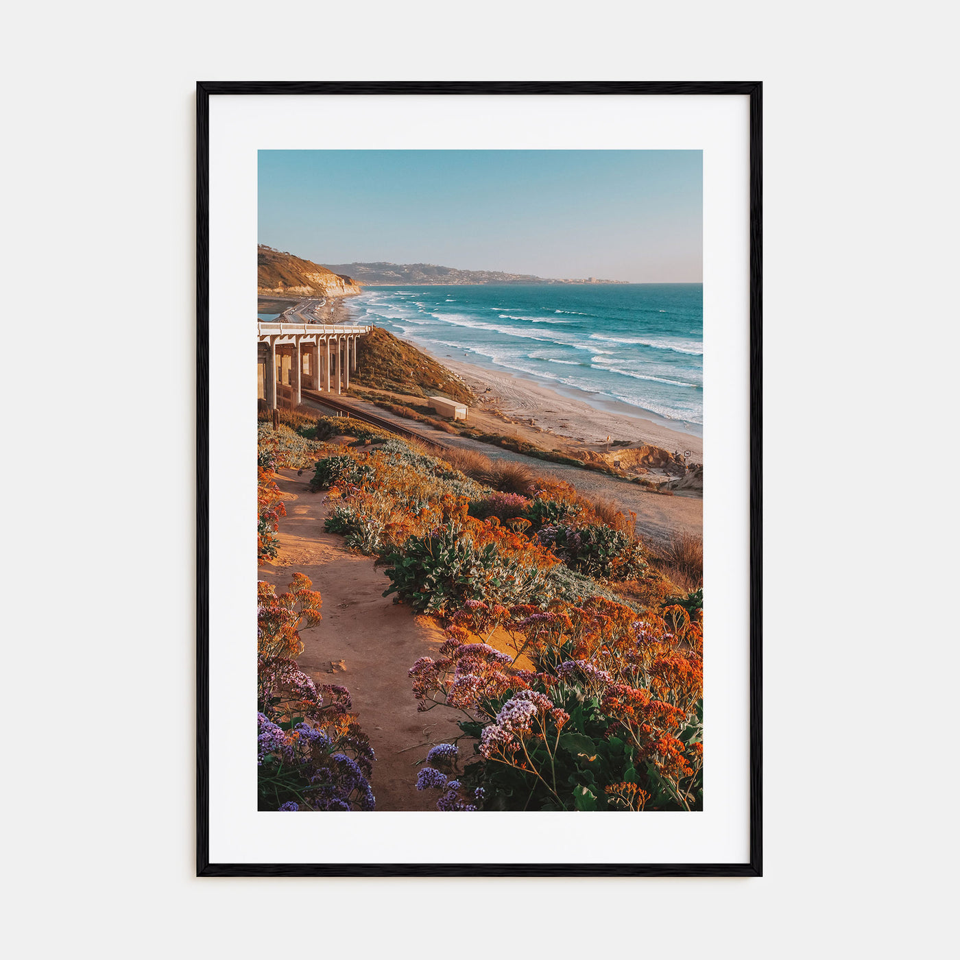 Torrey Pines Photo Color No 3 Poster