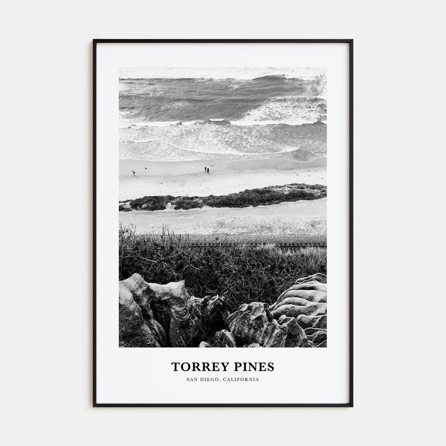 Torrey Pines Portrait B&W No 1 Poster