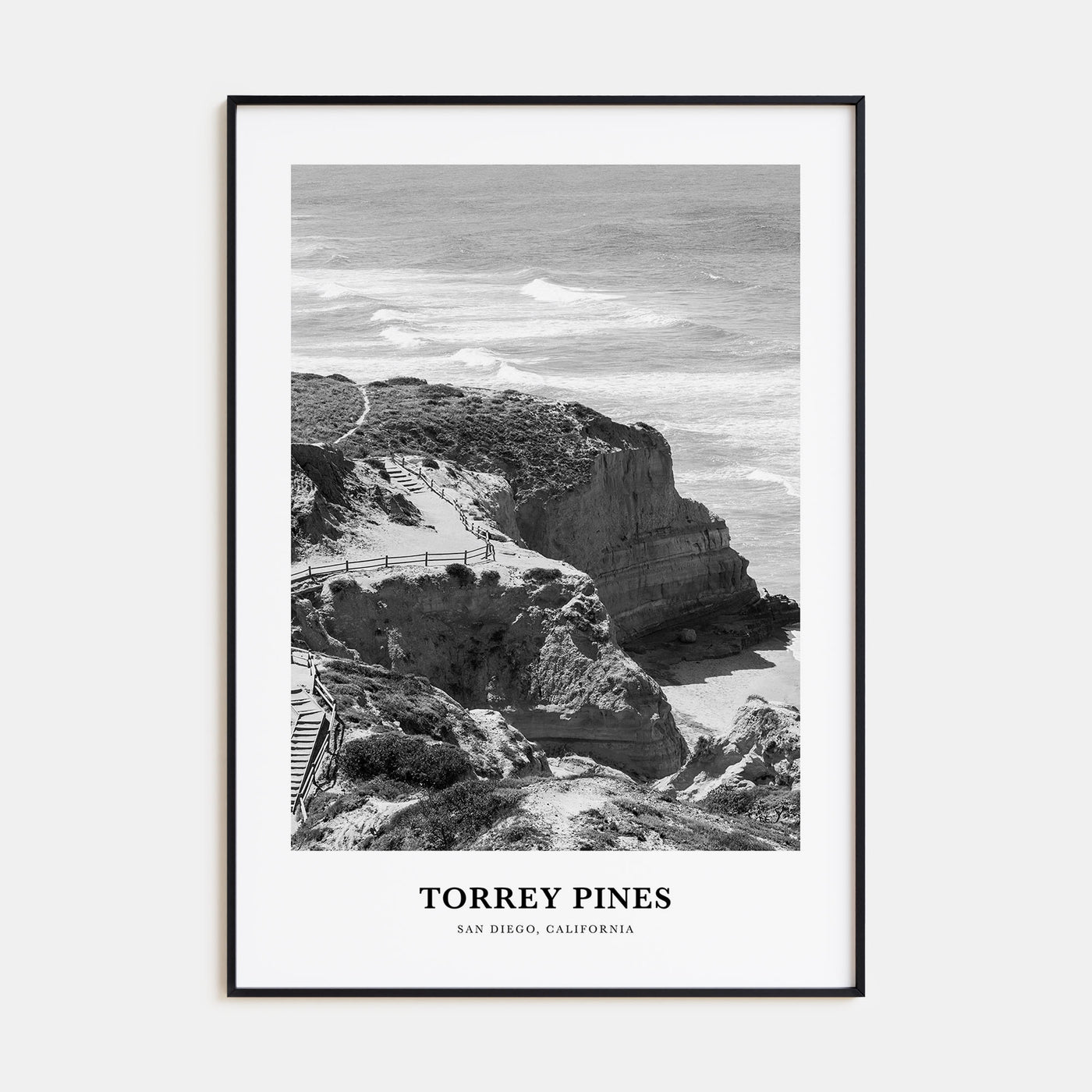 Torrey Pines Portrait B&W No 2 Poster