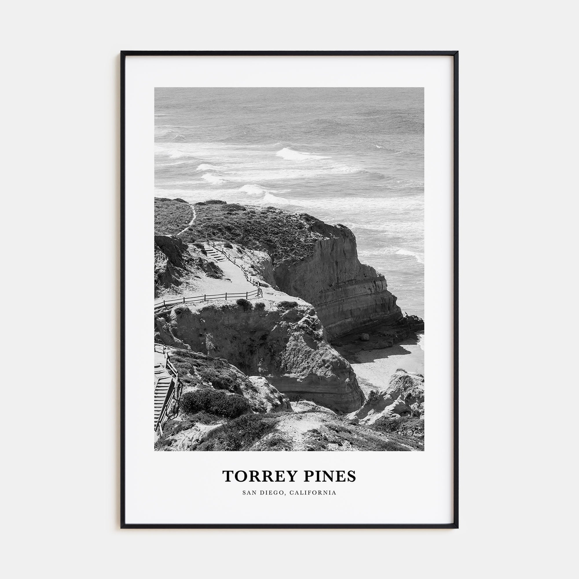 Torrey Pines Portrait B&W No 2 Poster