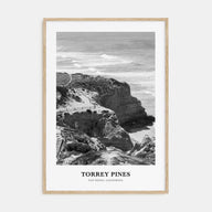 Torrey Pines Portrait B&W No 2 Poster