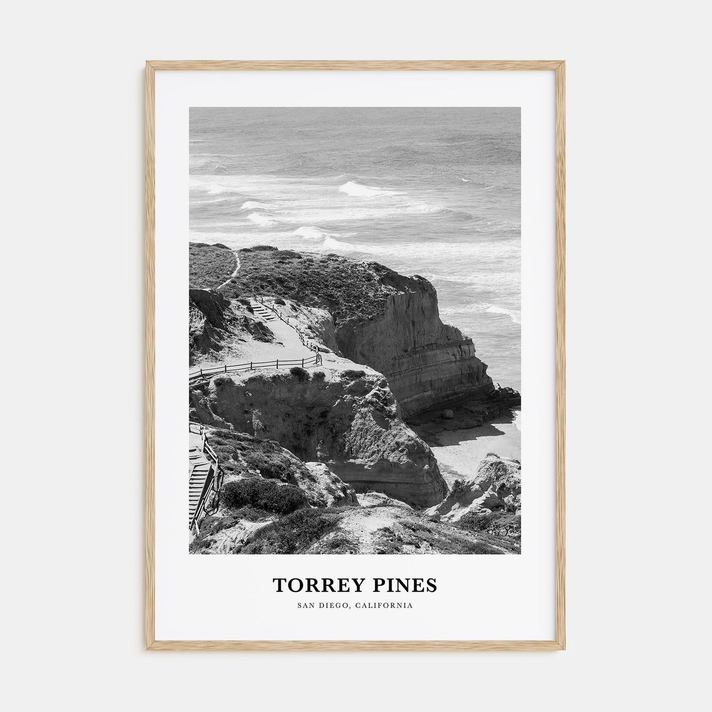 Torrey Pines Portrait B&W No 2 Poster