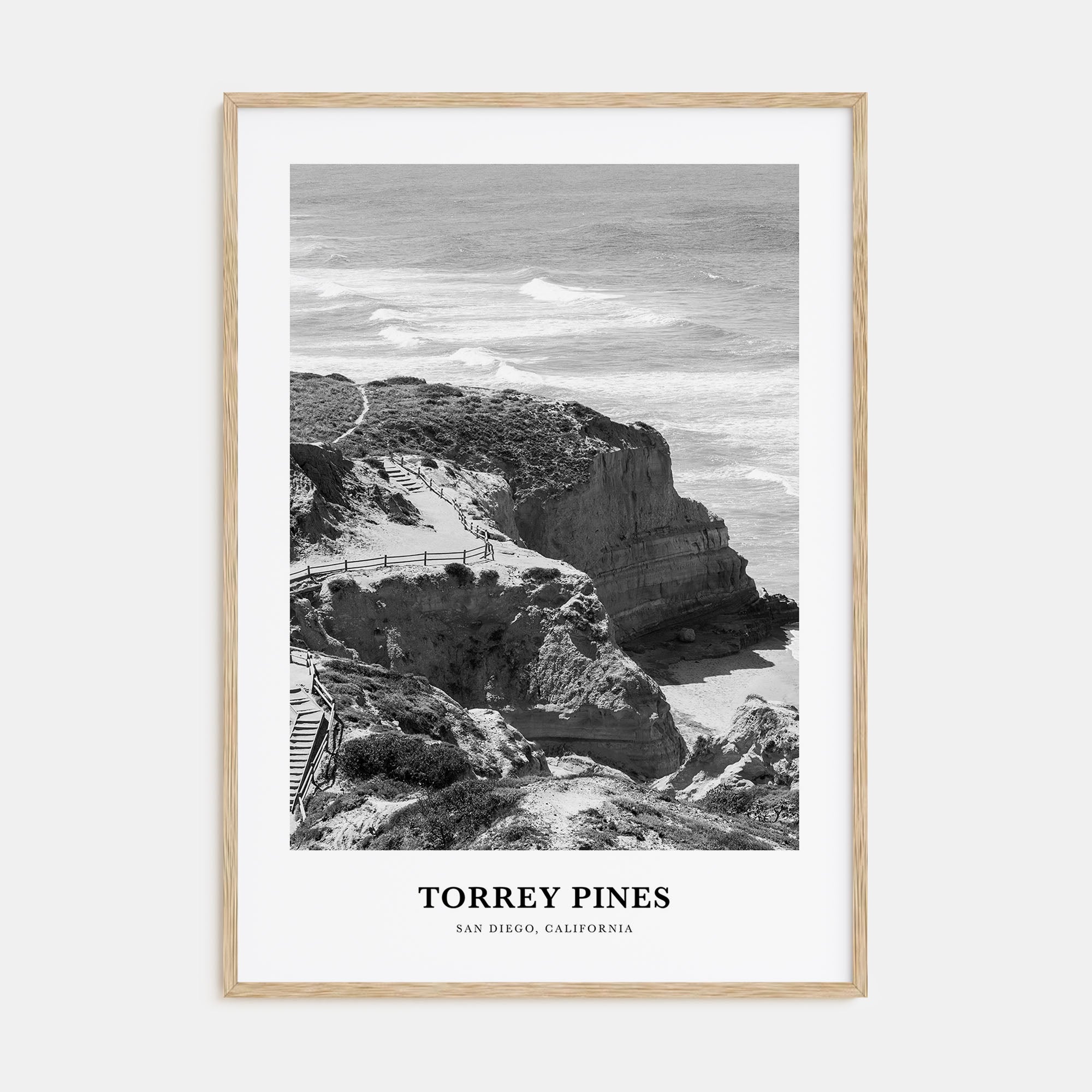 Torrey Pines Portrait B&W No 2 Poster