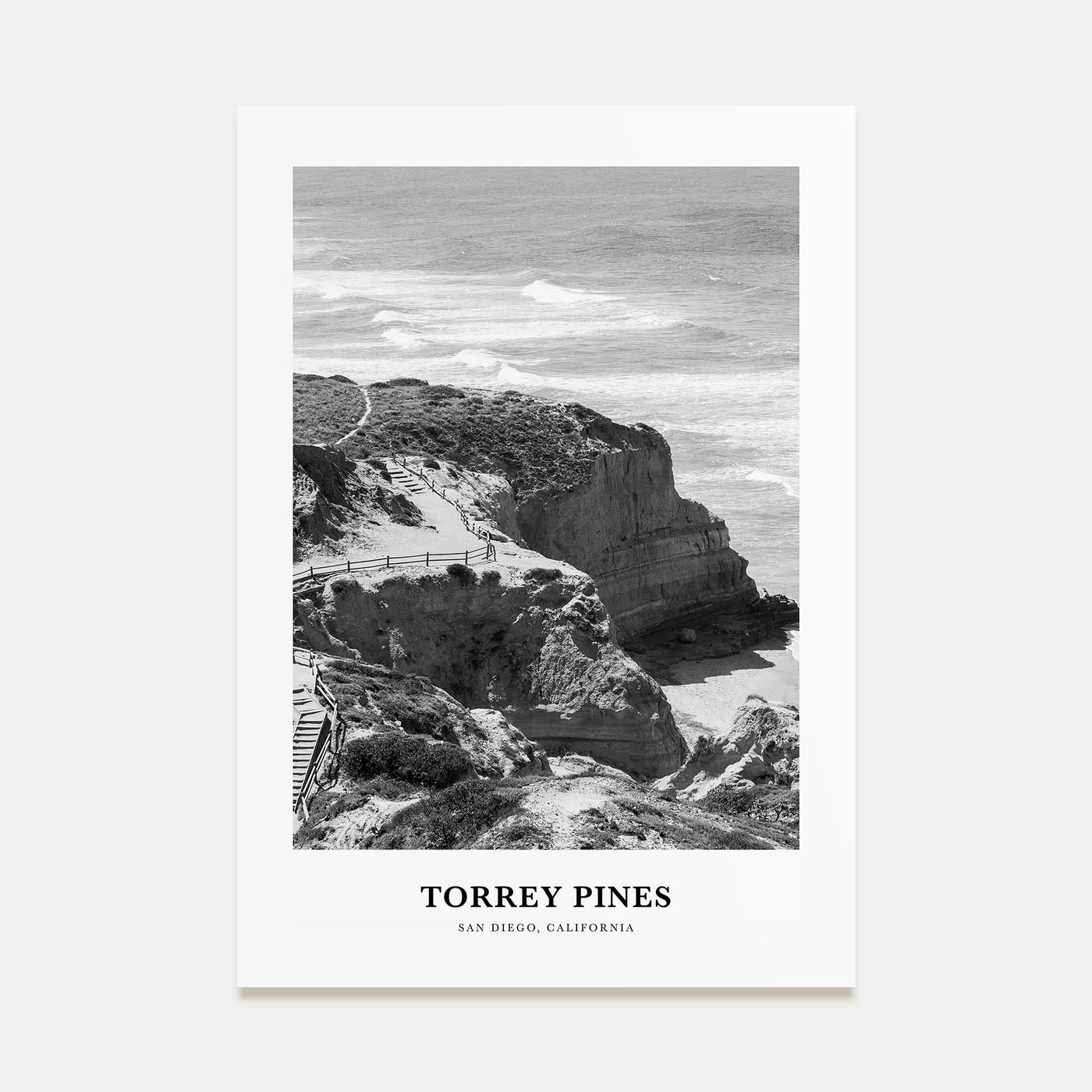 Torrey Pines Portrait B&W No 2 Poster