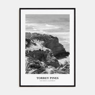Torrey Pines Portrait B&W No 2 Poster