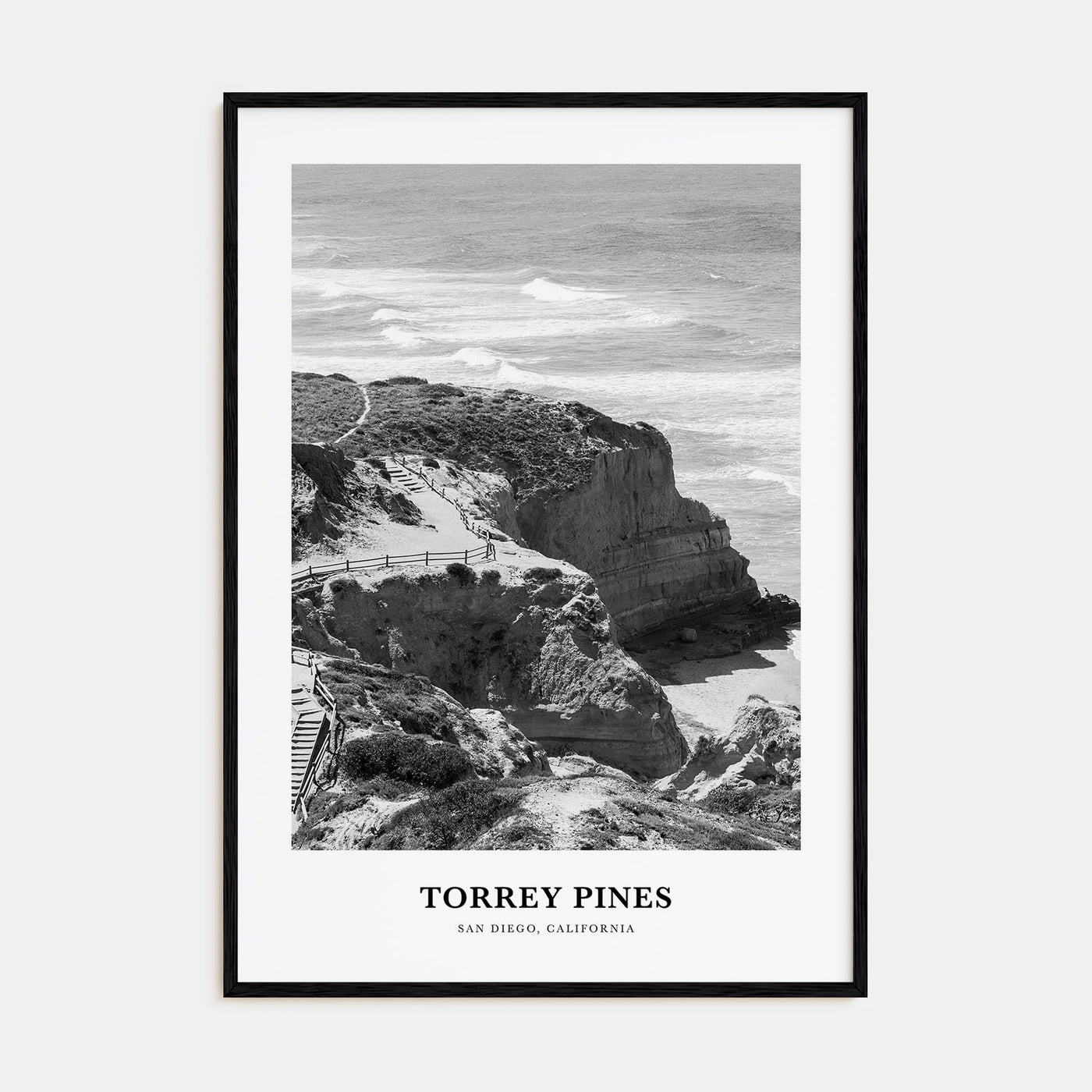 Torrey Pines Portrait B&W No 2 Poster