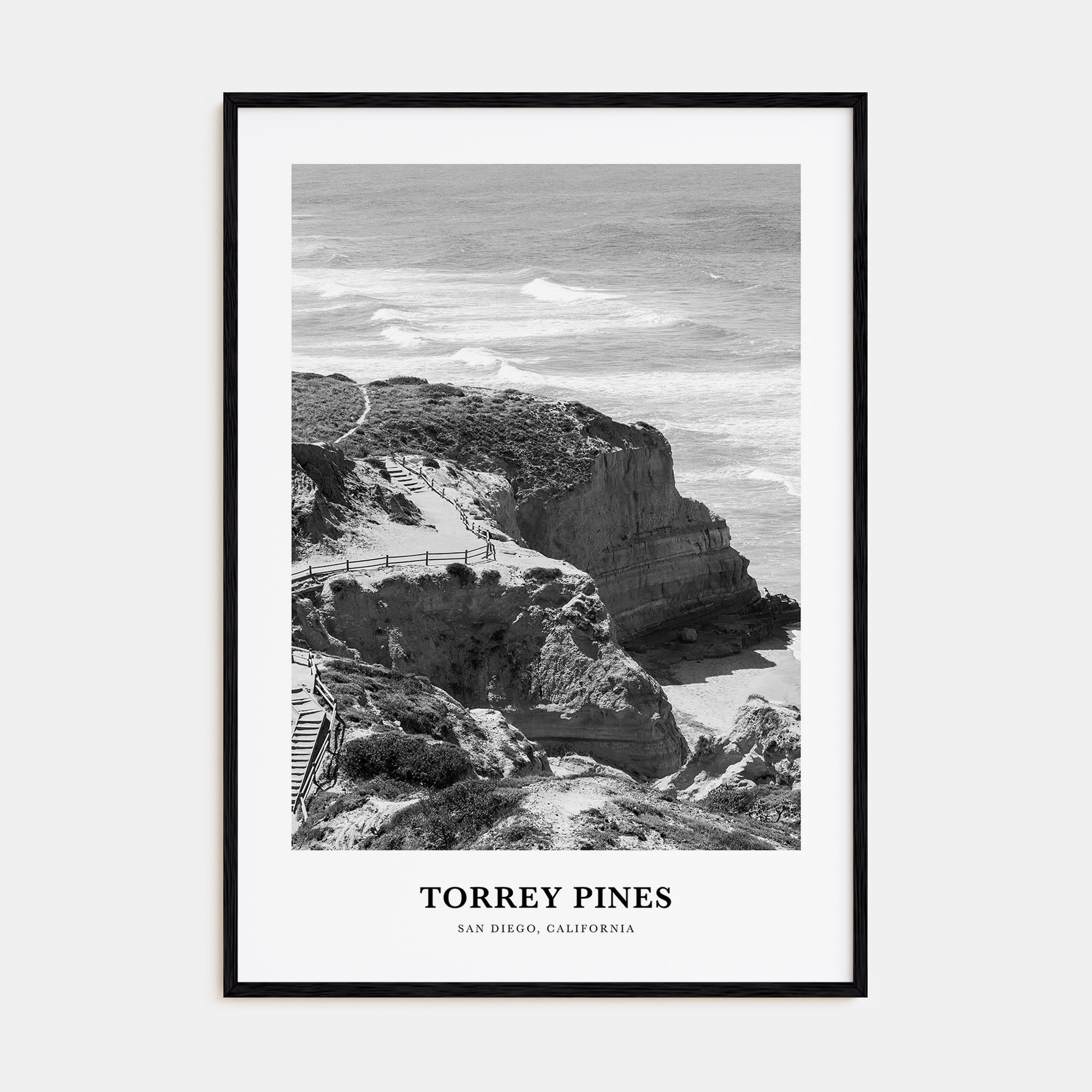 Torrey Pines Portrait B&W No 2 Poster