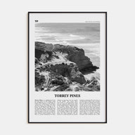 Torrey Pines Travel B&W No 1 Poster