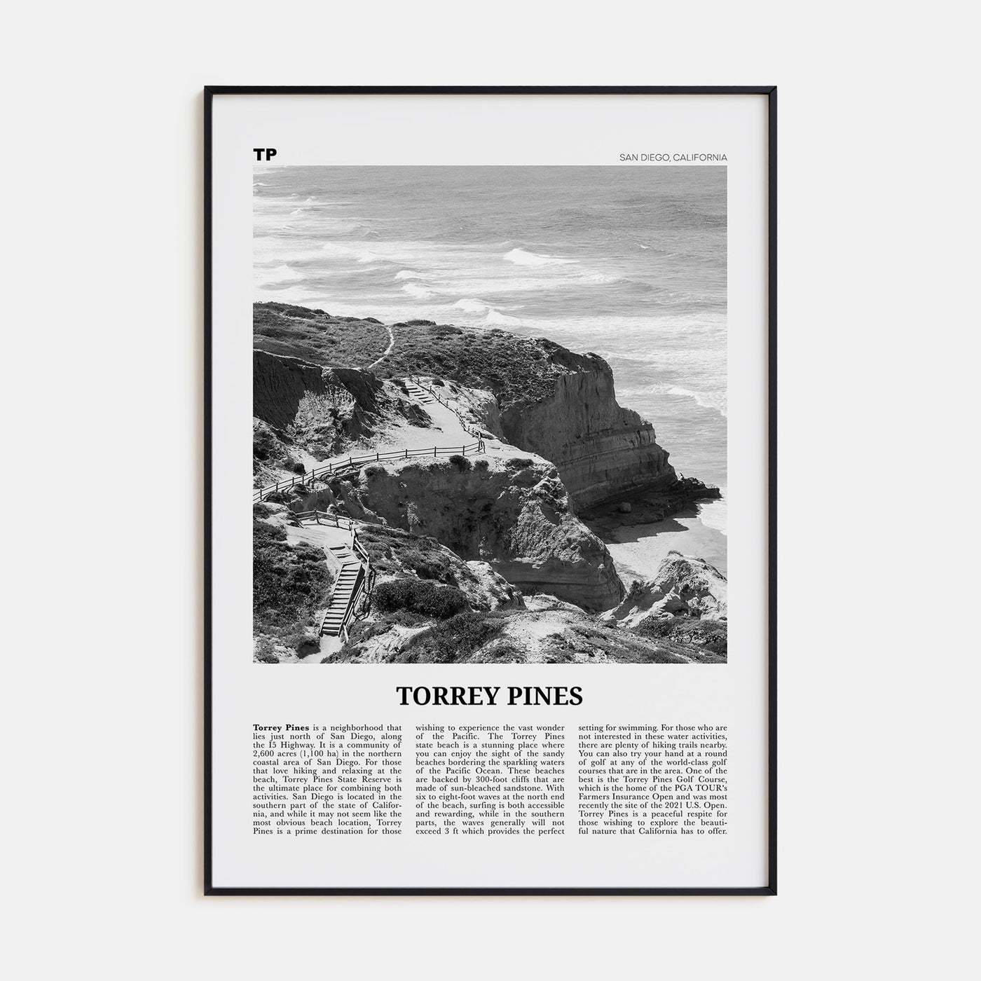 Torrey Pines Travel B&W No 1 Poster