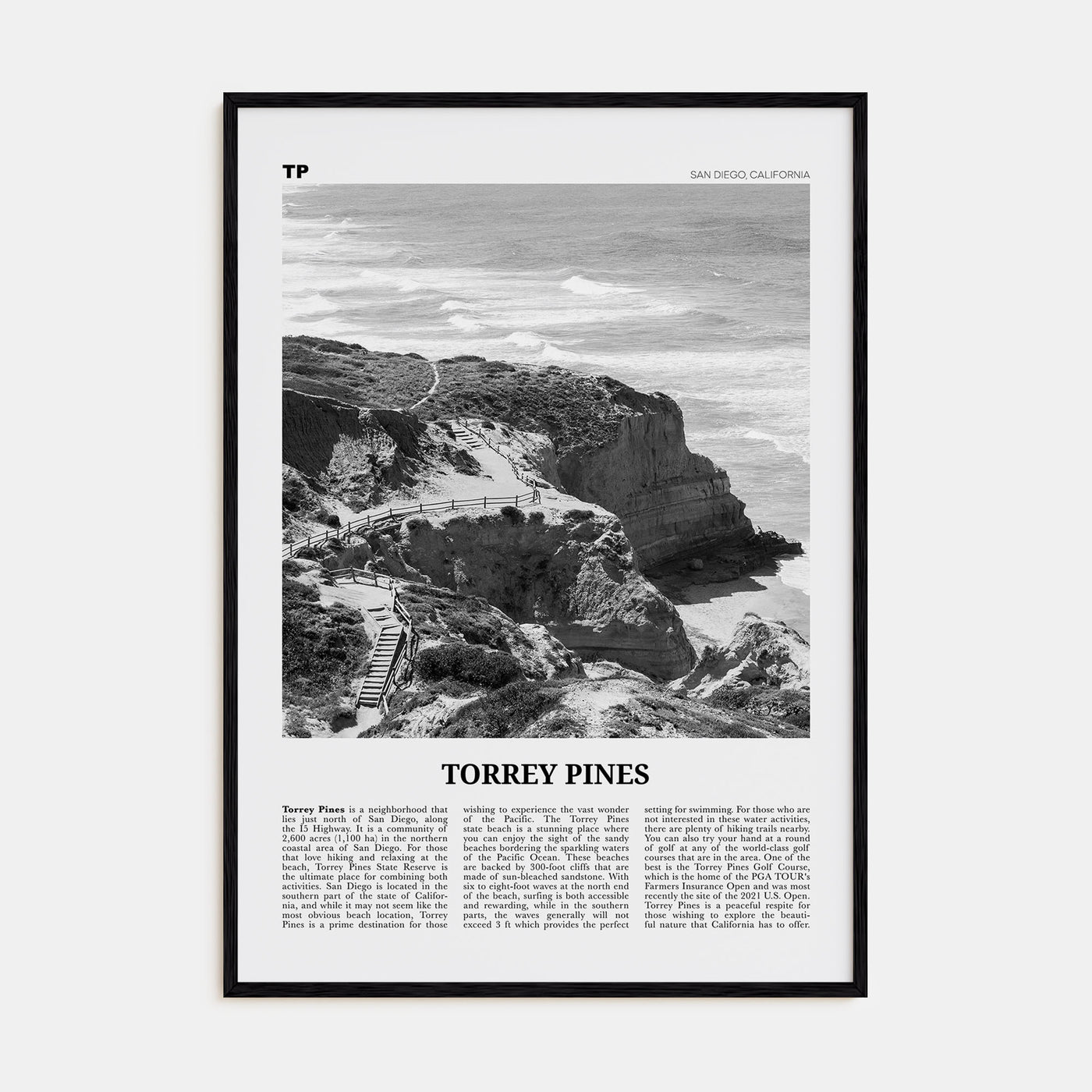 Torrey Pines Travel B&W No 1 Poster
