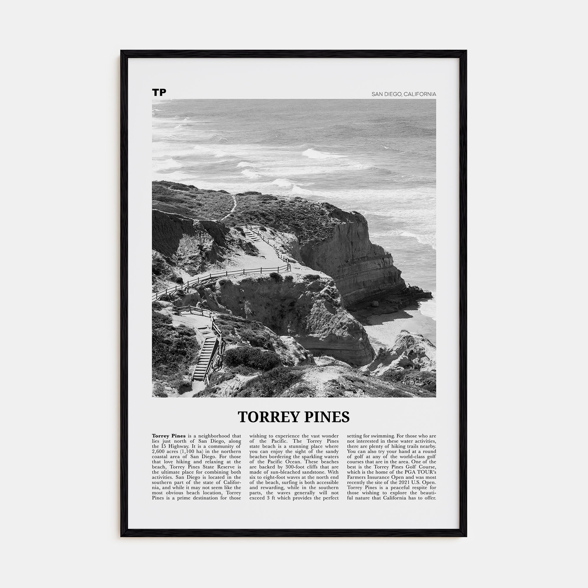 Torrey Pines Travel B&W No 1 Poster