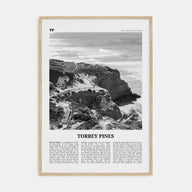 Torrey Pines Travel B&W No 1 Poster