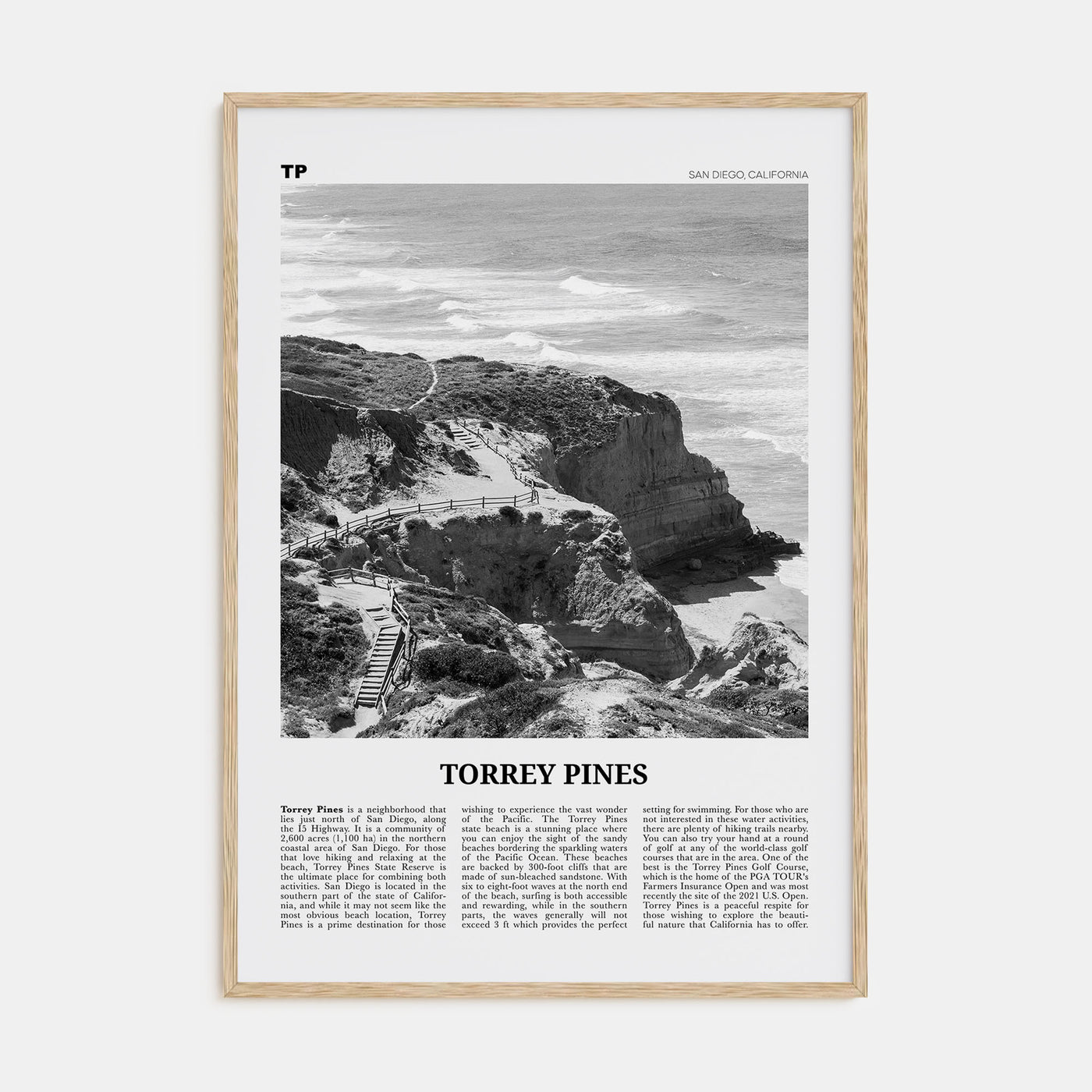Torrey Pines Travel B&W No 1 Poster