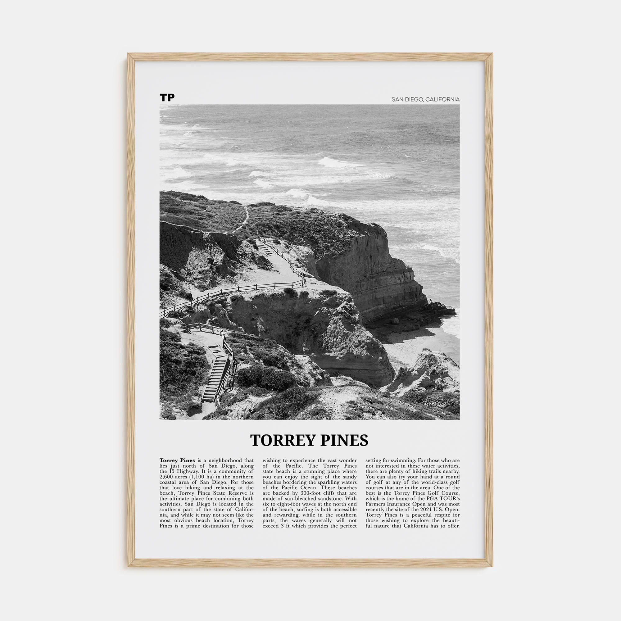 Torrey Pines Travel B&W No 1 Poster