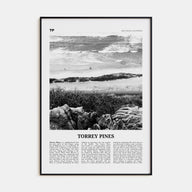 Torrey Pines Travel B&W No 2 Poster