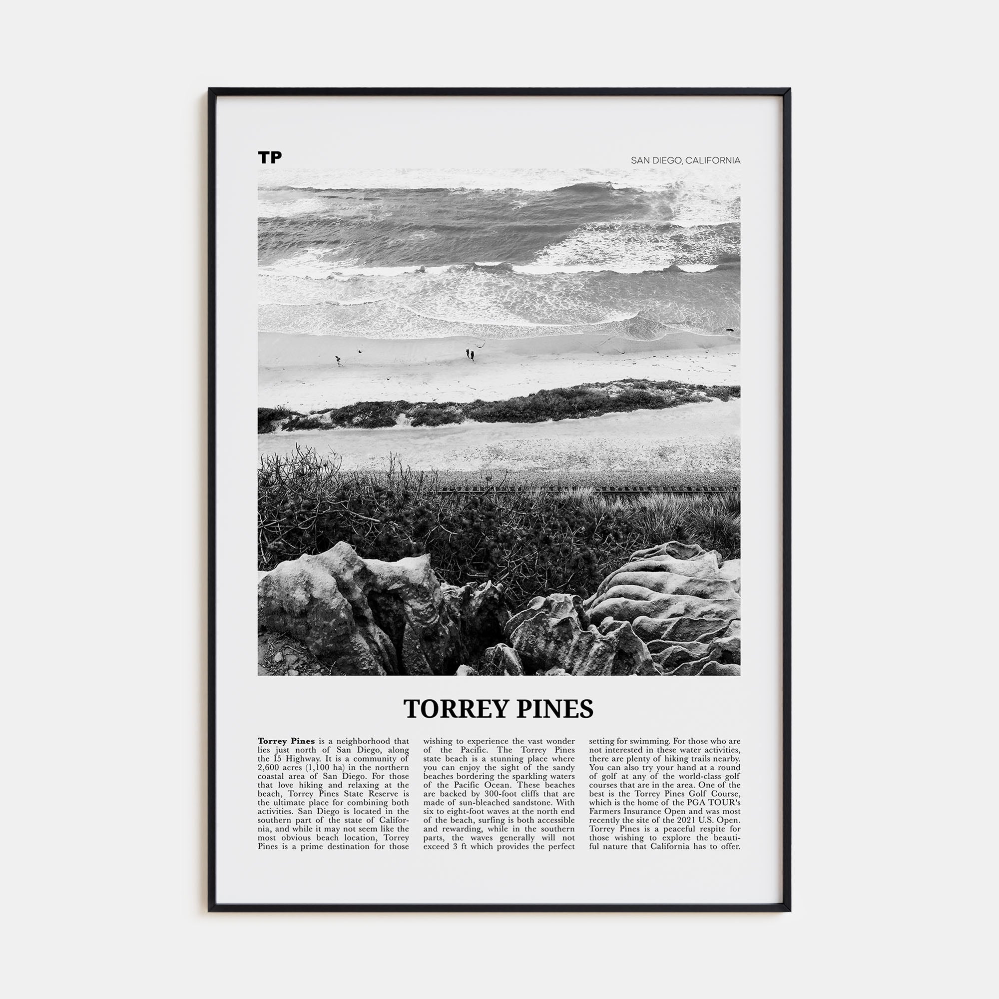 Torrey Pines Travel B&W No 2 Poster