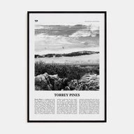 Torrey Pines Travel B&W No 2 Poster