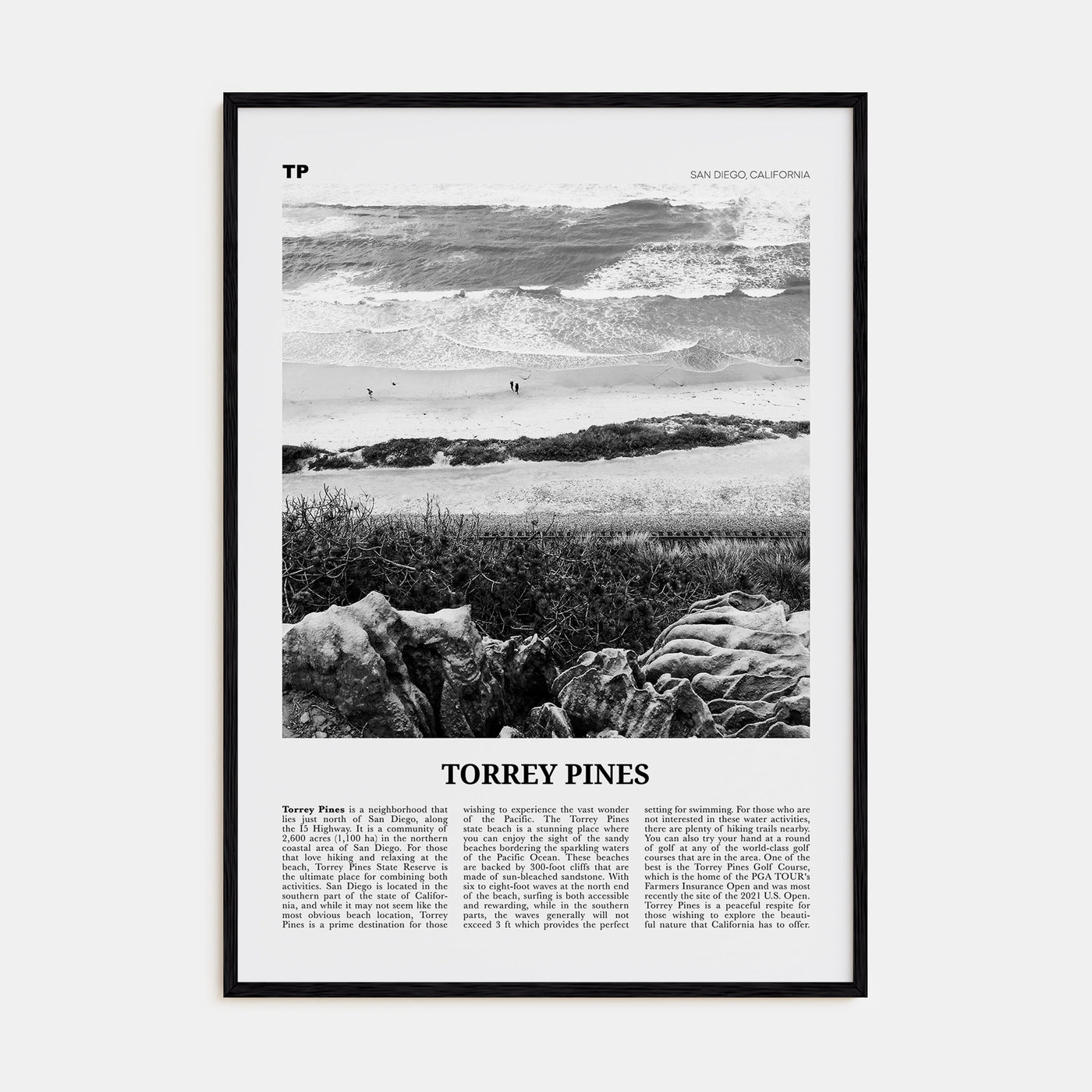 Torrey Pines Travel B&W No 2 Poster