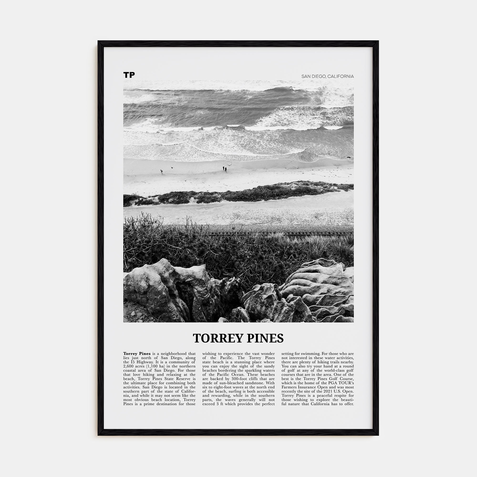 Torrey Pines Travel B&W No 2 Poster