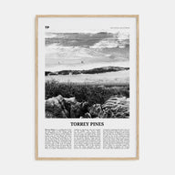 Torrey Pines Travel B&W No 2 Poster