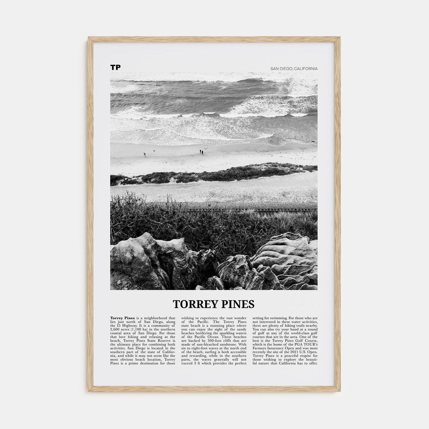 Torrey Pines Travel B&W No 2 Poster