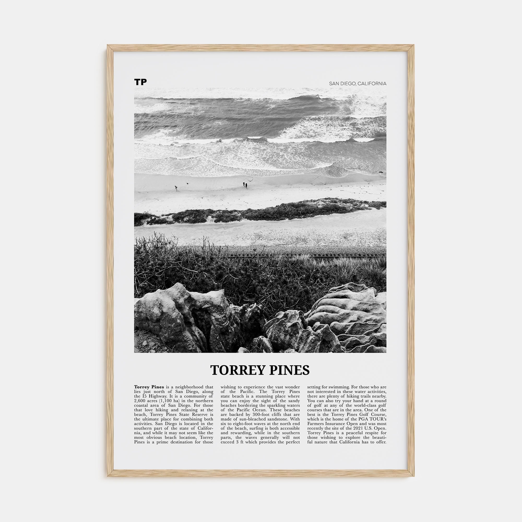 Torrey Pines Travel B&W No 2 Poster