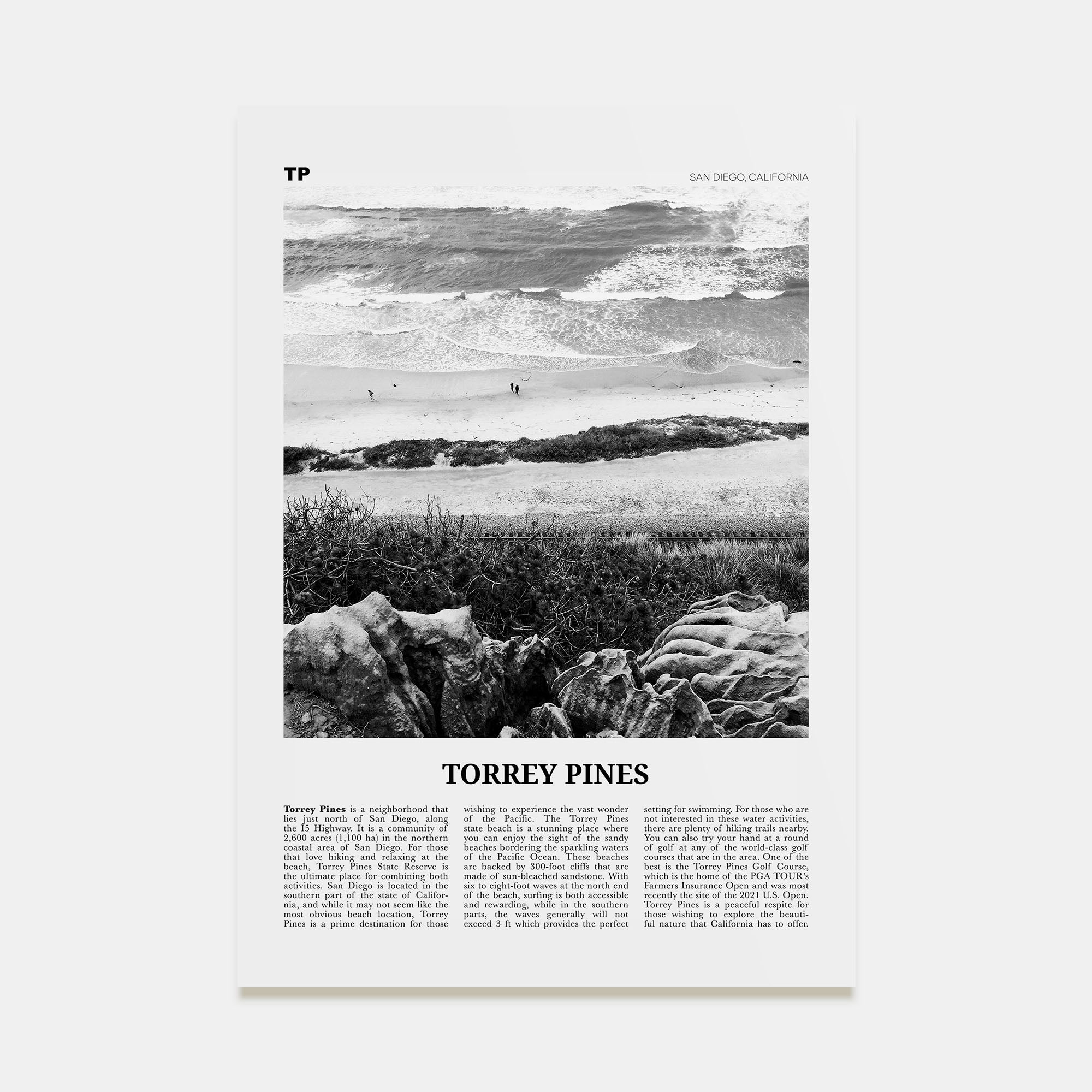 Torrey Pines Travel B&W No 2 Poster