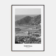 Tortola Portrait B&W Poster