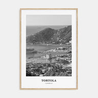 Tortola Portrait B&W Poster