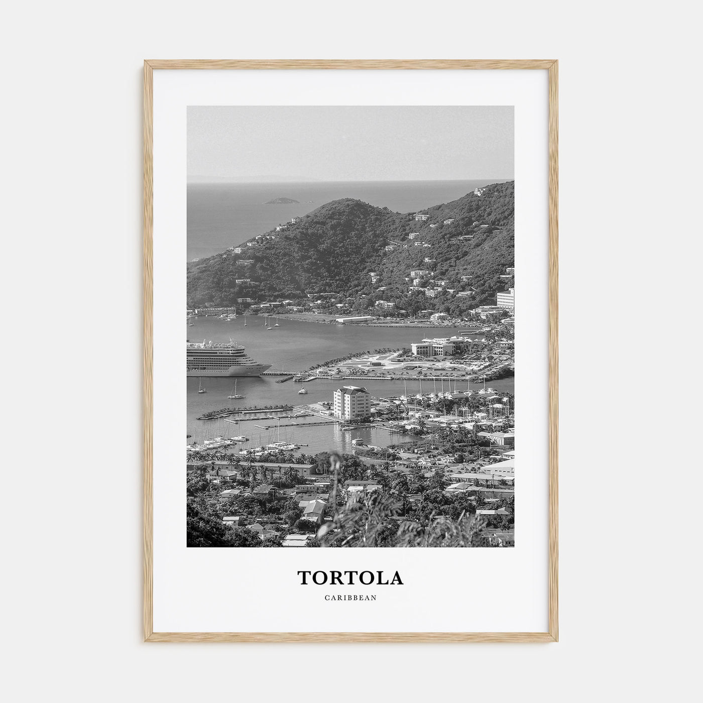 Tortola Portrait B&W Poster