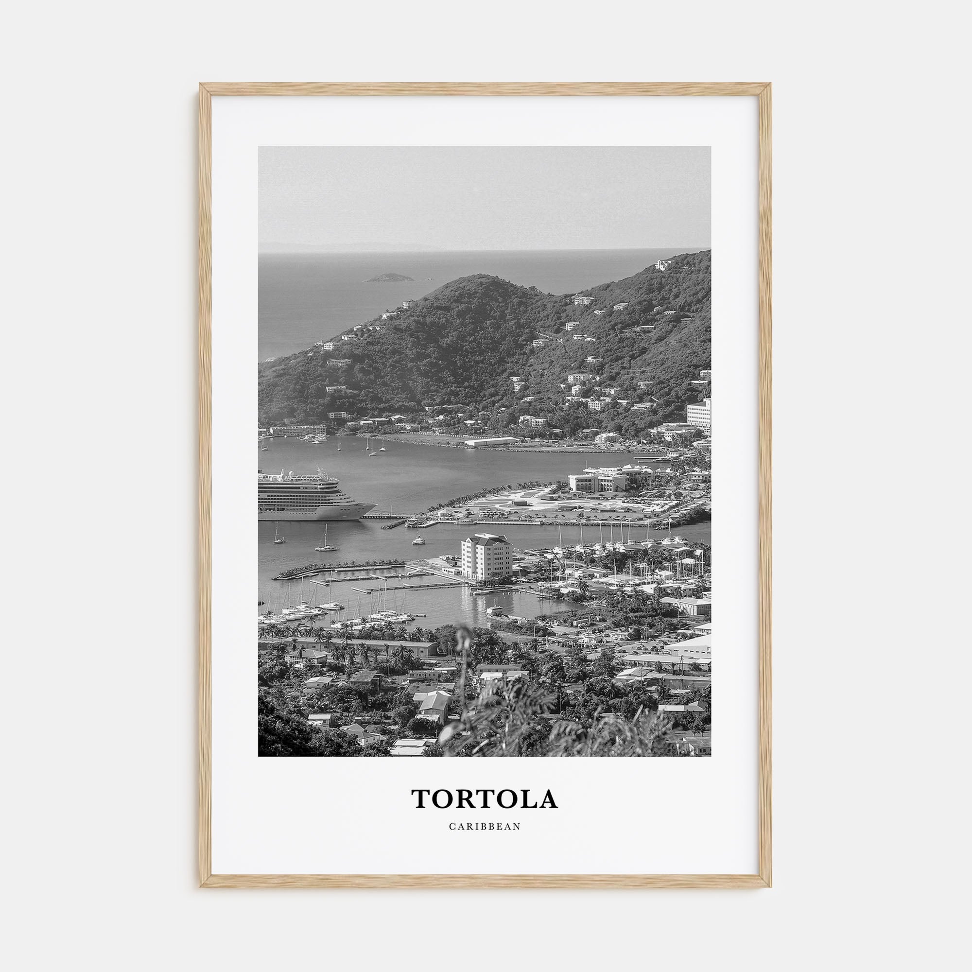 Tortola Portrait B&W Poster