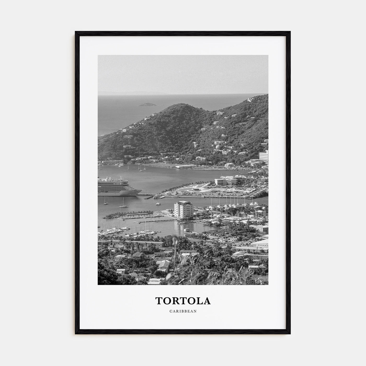 Tortola Portrait B&W Poster