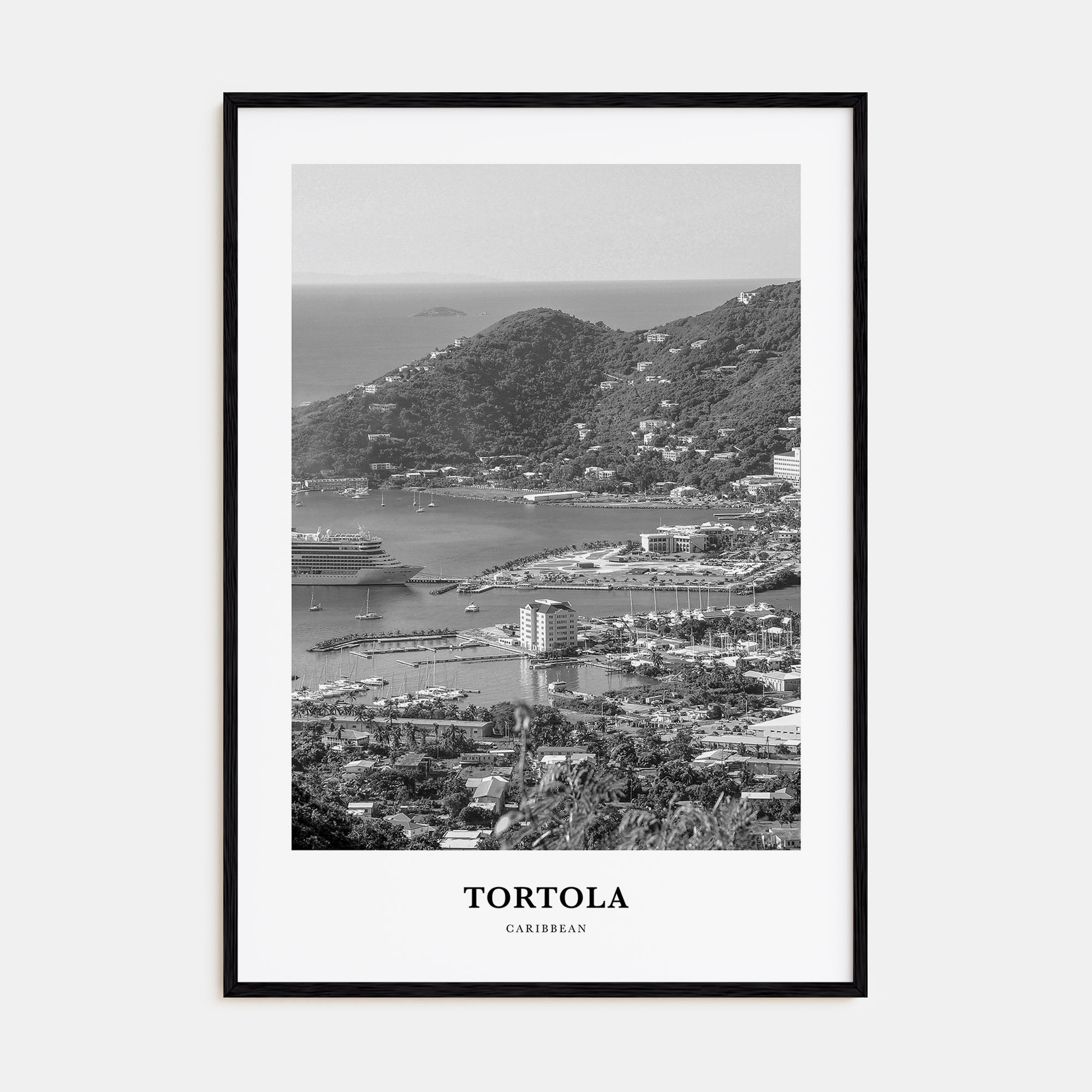 Tortola Portrait B&W Poster